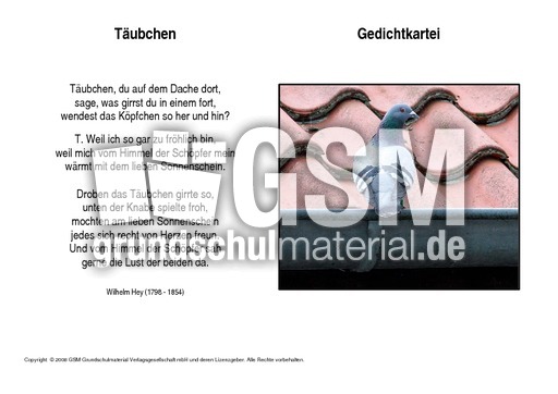 Täubchen-Hey.pdf